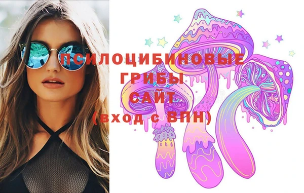 стафф Вязьма